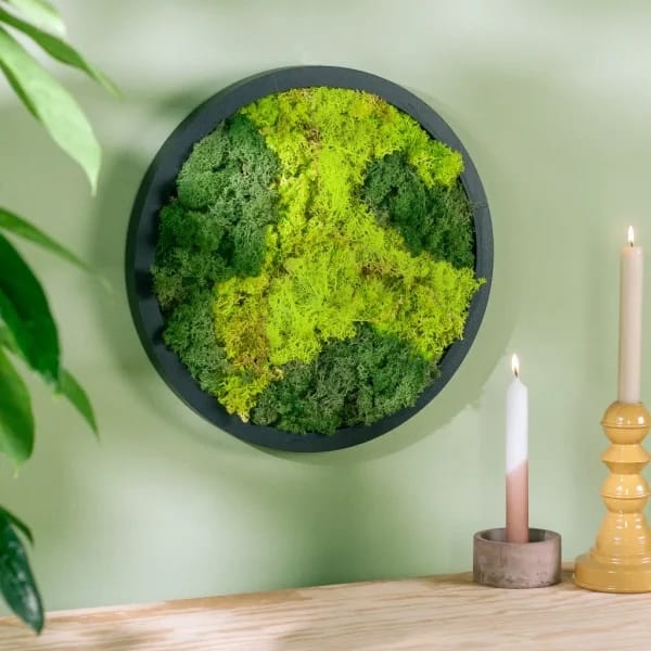 Mosschilderij in interieur